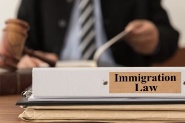 Immigration Lawyer